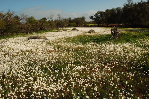 Kalbarri Seafront Villas - Stayed 35