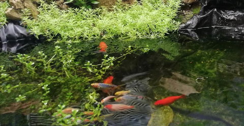 Perth Lake Side Lodge - Stayed 17