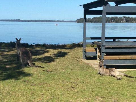 Dungowan Holiday Accommodation - Stayed 33