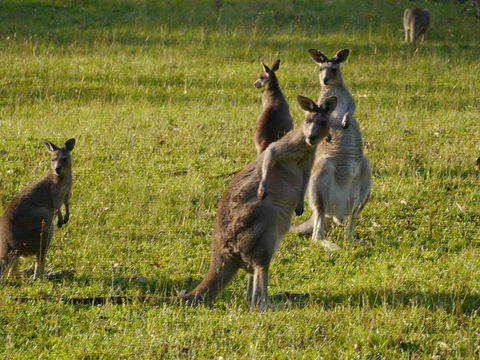 Dungowan Holiday Accommodation - Stayed 27