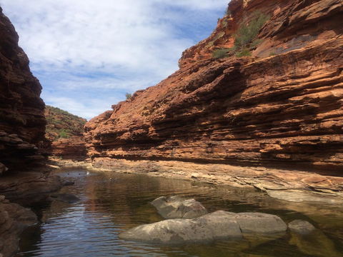 Kalbarri Blue Ocean Villas - Stayed 7