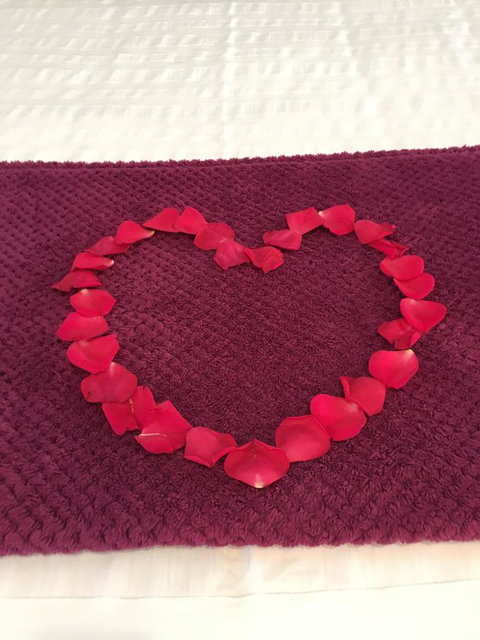 Nelson Bay Bed & Breakfast - Stays Accommodation 4