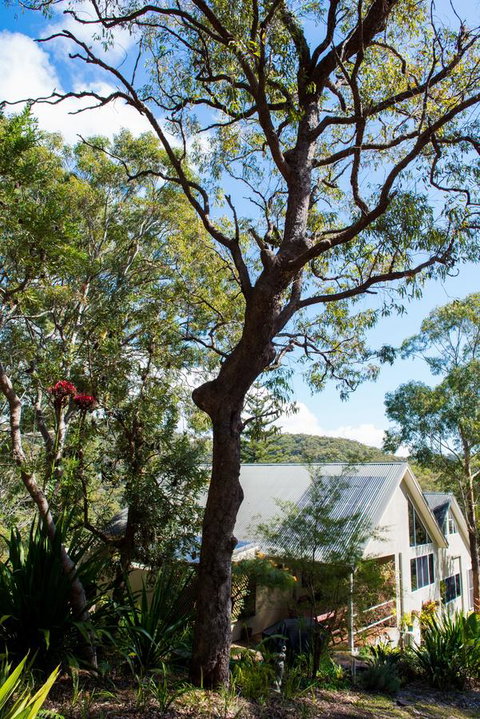 Nelson Bay Bed & Breakfast - Stays Accommodation 42