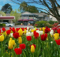 Nesuto Leura Gardens formerly Waldorf Leura Gardens Resort