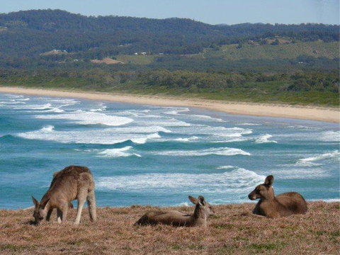 High Tide At Emerald - Stayed 13