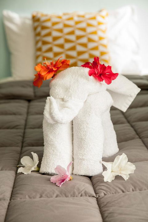 Kempsey Rose Motor Inn - Stays Accommodation 17