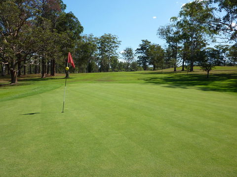 Kempsey Rose Motor Inn - Stays Accommodation 3