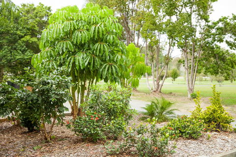 Kempsey Rose Motor Inn - Stays Accommodation 42