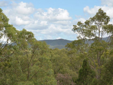 Villa Executive 2br Cypress DS Located Within Cypress Lakes Resort - Stayed 8