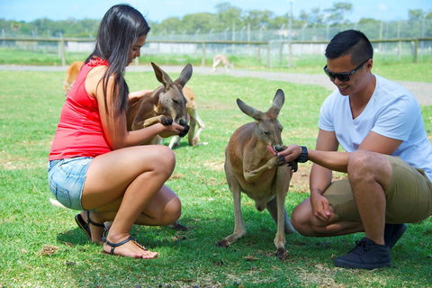 On The Beach Getaway - Stayed 25