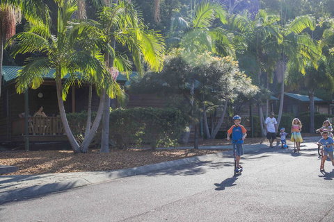 The Palms At Avoca - Stayed 14