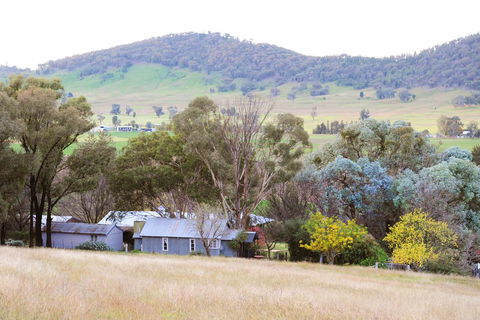 Stay In Mudgee The Grove, The Church, And Premium Private Homestead - Stayed 38