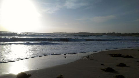 Sweet Spot Shellharbour - Stayed 14