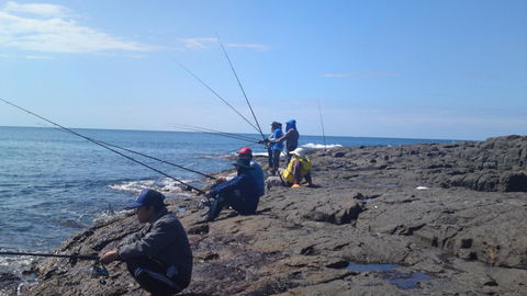 Sweet Spot Shellharbour - Stayed 13