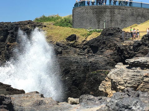 Sweet Spot Shellharbour - Stayed 18