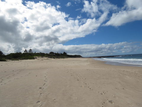 Sweet Spot Shellharbour - Stayed 15