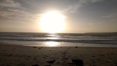 Sweet Spot Shellharbour - Stayed 16