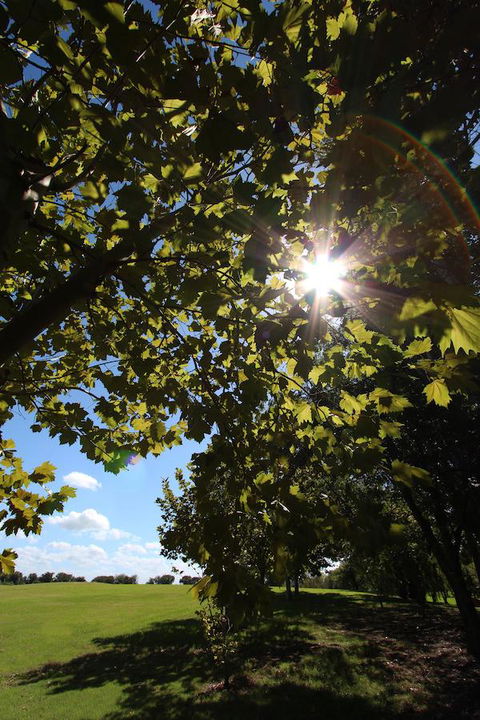 Crowne Plaza Hawkesbury Valley, An IHG Hotel - Stays Accommodation 43