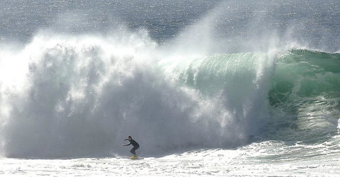 Refuge Cove On Pittwater - Stayed 16