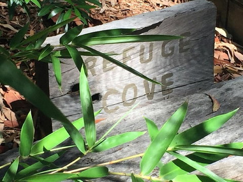 Refuge Cove On Pittwater - Stayed 12