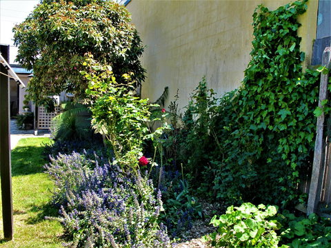 Apple Tree Cottage - Stayed 24