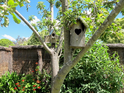 Apple Tree Cottage - Stayed 28