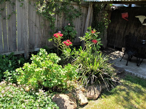 Apple Tree Cottage - Stayed 26