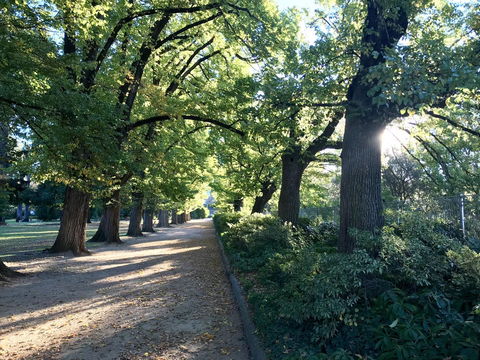 The Botanical 201 - Stayed 17