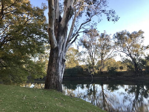 The Botanical 201 - Stayed 18