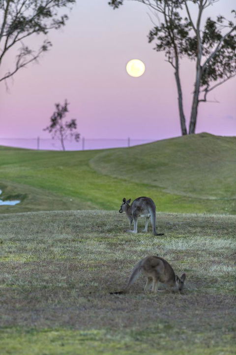 Oaks Cypress Lakes Resort - Stayed 28