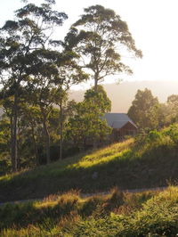Book Bawley Point Accommodation Vacations Stayed Stayed