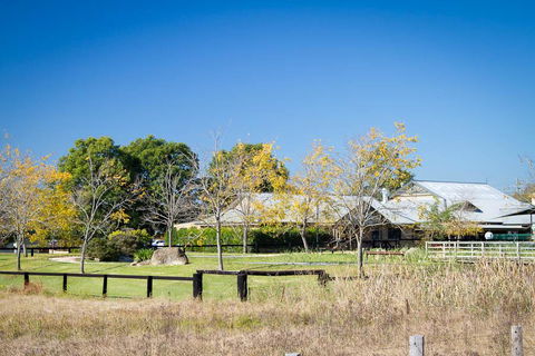 Potters Apartments - Stayed 26