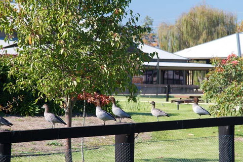 Potters Apartments - Stayed 25