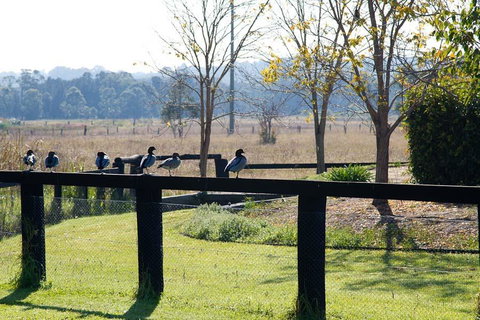 Potters Apartments - Stayed 24