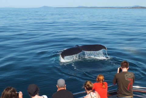 Pacific Marina Apartments - Stayed 34