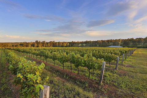 Ironstone Estate Lovedale - Stayed 31