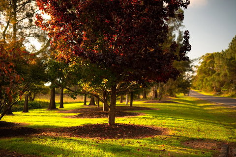 Bundanoon Country Inn Motel - Stays Accommodation 20