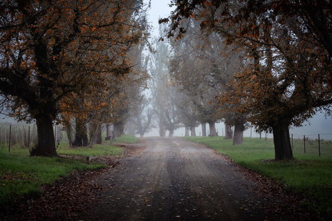 Bundanoon Country Inn Motel - Stays Accommodation 17
