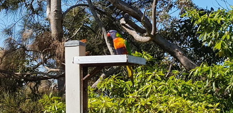 The Edgewater On Greville - Stays Accommodation 15