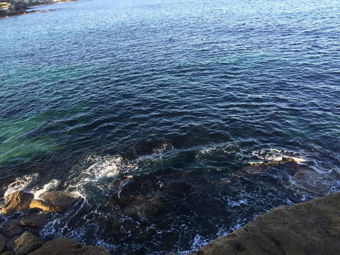 Coogee Sands Hotel & Apartments - Stayed 30