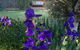 Warriwillah - Millthorpe's Country Motel - thumb 9