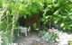 Warriwillah - Millthorpe's Country Motel - thumb 3