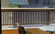 Paxsafe Sydney Hyde Park Central Apartments - thumb 33