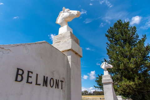 Belmont - Stayed 4