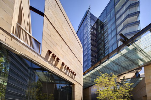 The Darling At The Star - Stayed 14