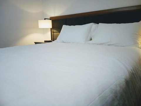 Winning Post Motor Inn - Stays Accommodation 1