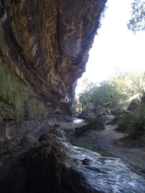 Winning Post Motor Inn - Stays Accommodation 22