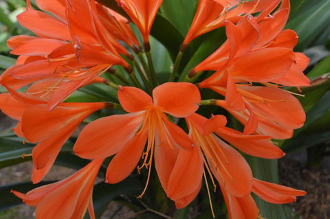 JE Guesthouse, Central To All The Hunter Valley Has To Offer - Stayed 39