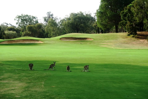 Mulwala Resort - Stayed 40