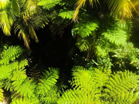 Woollahra Gem, Spectacular Views And Garden Paradise - Stayed 32